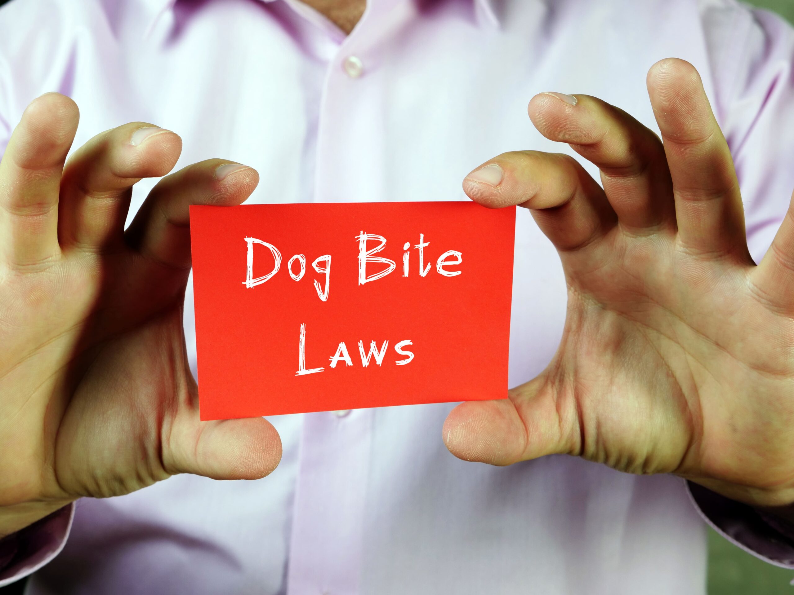 Read more about the article Steps To Take After Dog Bite